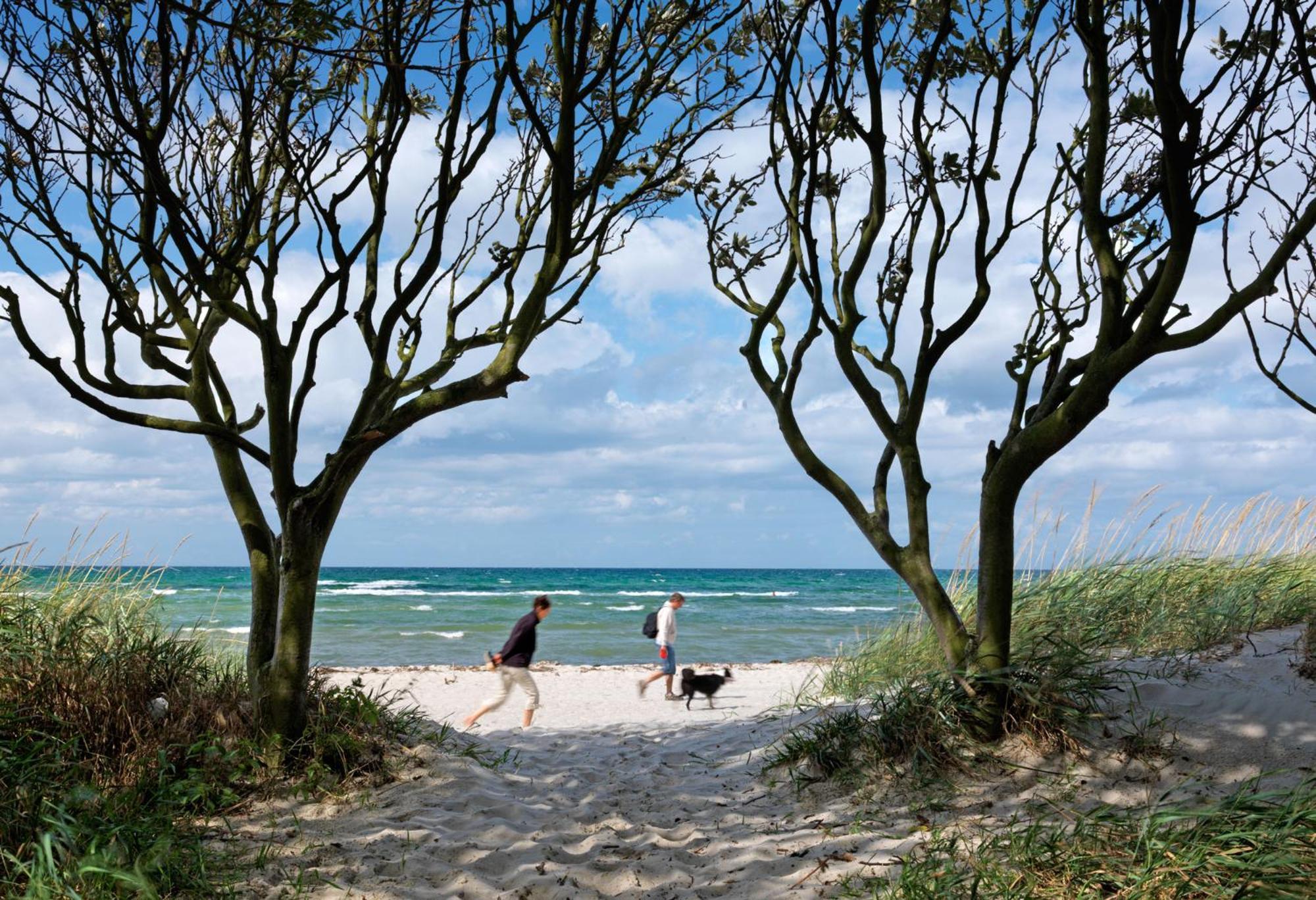 Daenische Ferienhaeuser Am Salzhaff Haus Kaept'N Nemo Insula Poel Exterior foto
